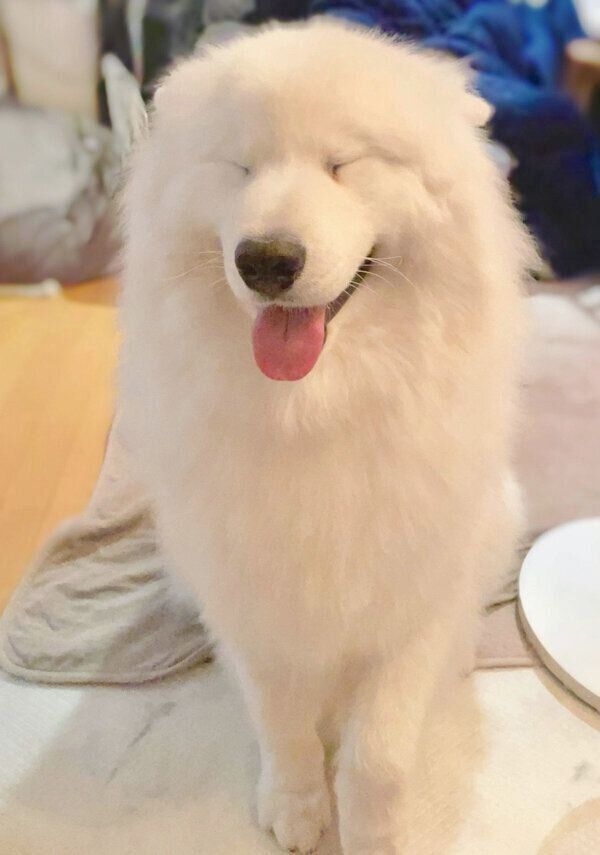 褒められて喜ぶソランくん