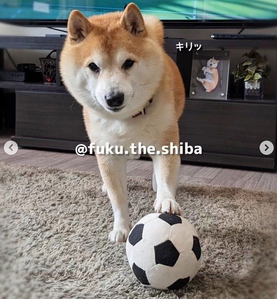 ボールを触る福来くん