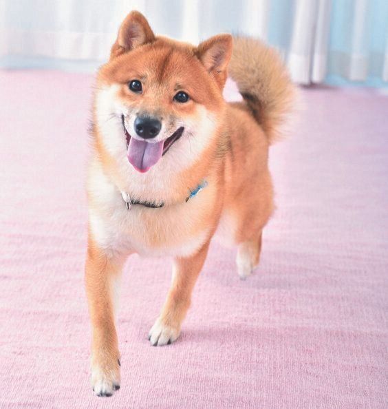 撮影／佐藤正之