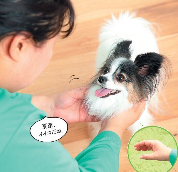 基本の「触れる」