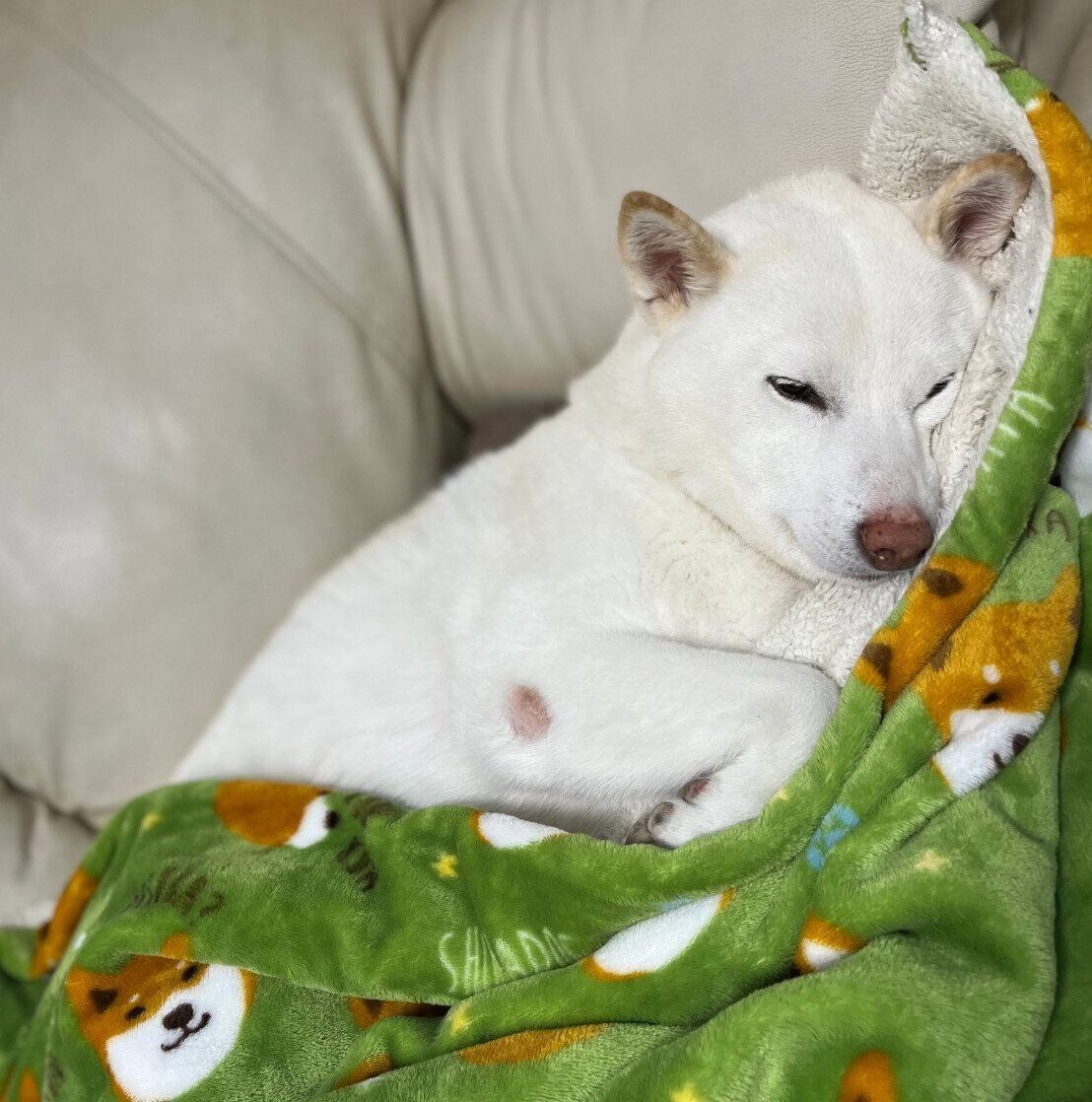 リラックスするやまとくん