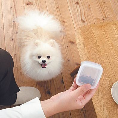 容器を振って音を鳴らして気をひいてから投げて