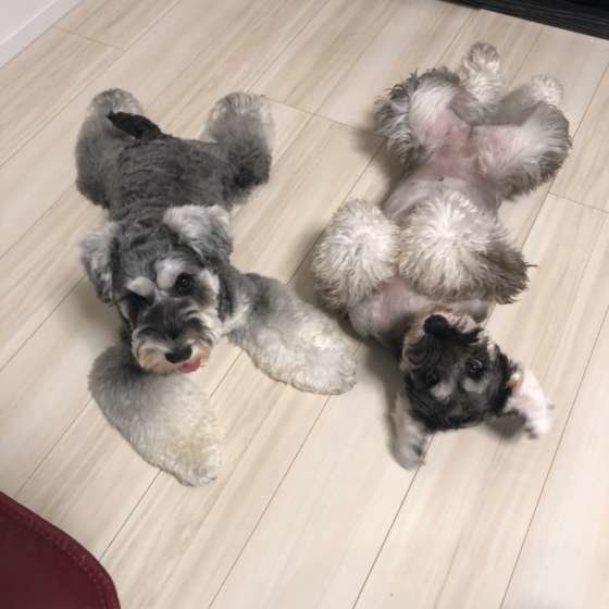 仲良しショット