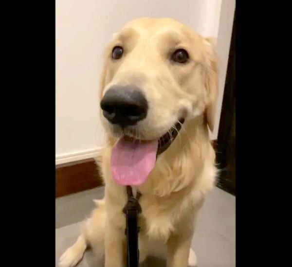 笑顔を見せるらん丸くん