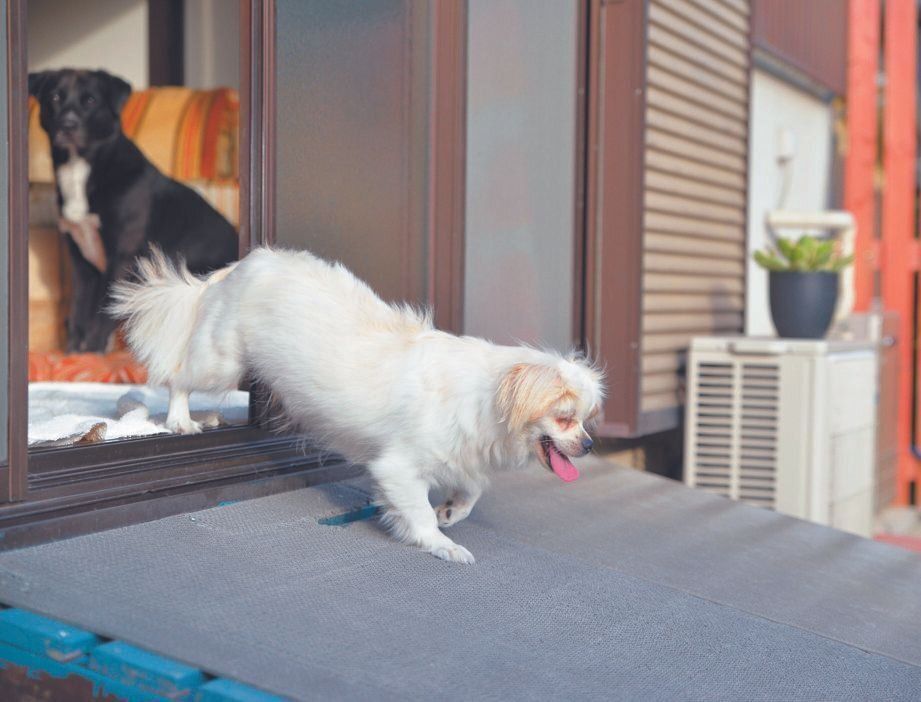 撮影／犬丸美絵