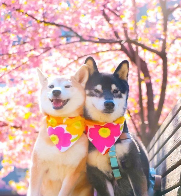 寄り添うゆりあちゃんとけんしろうくん