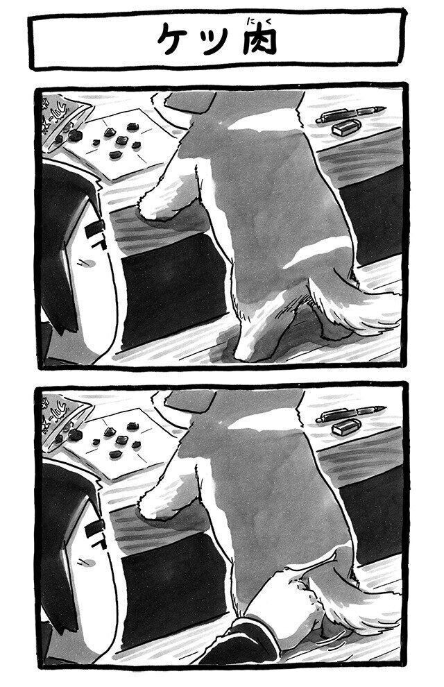 シーズー犬マンガてんぽshihtzu