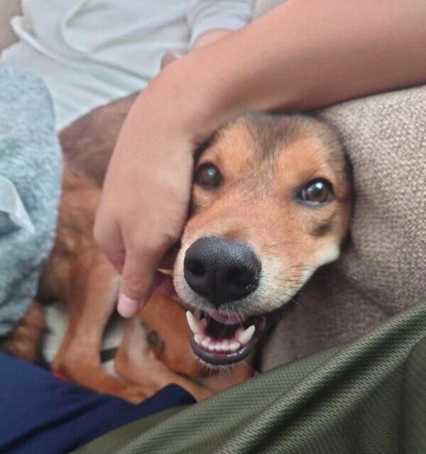 笑顔を見せる小次郎くん