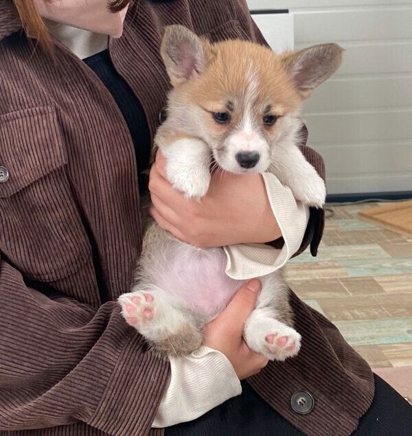 初顔合わせしたときのコパンちゃん