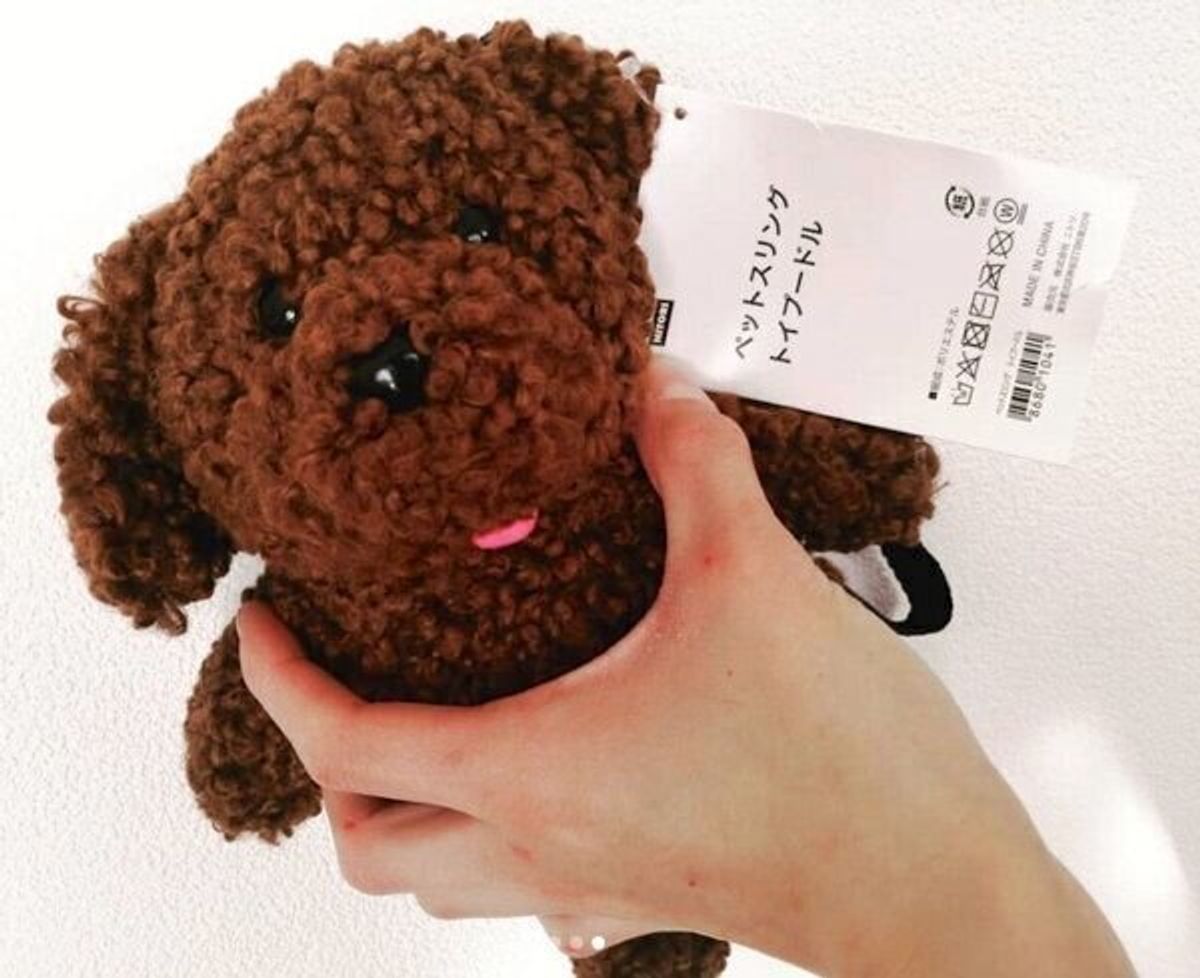 愛犬とのお出かけ時に大活躍 ニトリの ペットスリング がコスパも使い勝手も だった いぬのきもちweb Magazine 愛犬とのお出かけ時に大活躍 ニトリの ペットスリング がコスパも使い勝手も だった いぬのきもちweb Magazine