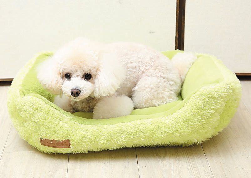 撮影／尾﨑たまき