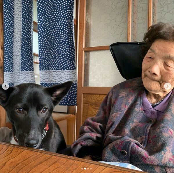 ターシャちゃんとおばあちゃん