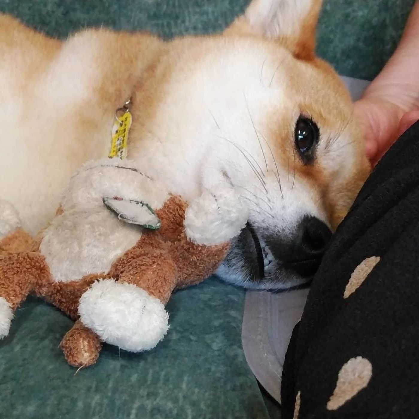 Wppwrclt 7e2cm Wppwrclt 7e2cm