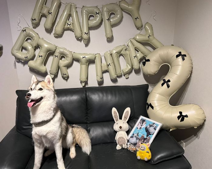 2才の誕生日を迎えたエマちゃん