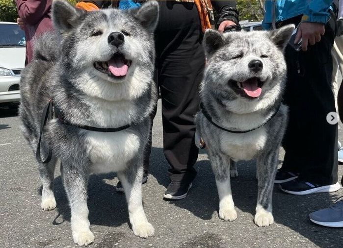 とらくんと紫遥ちゃん