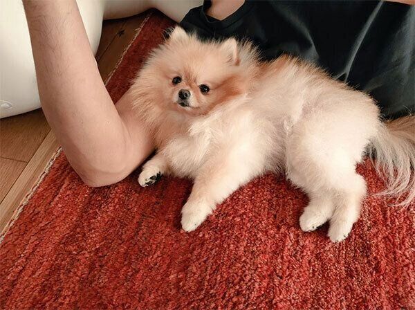 くつろぐぽぽちゃん