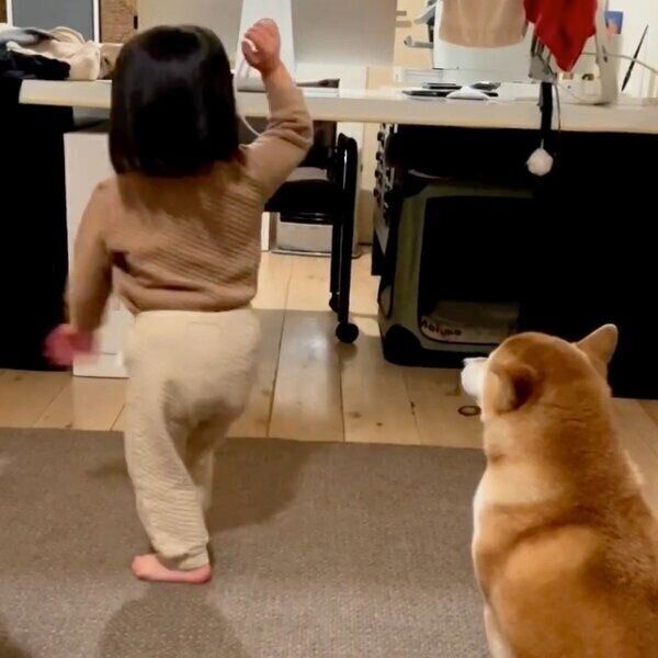 踊る娘さんを見つめるまるこちゃん