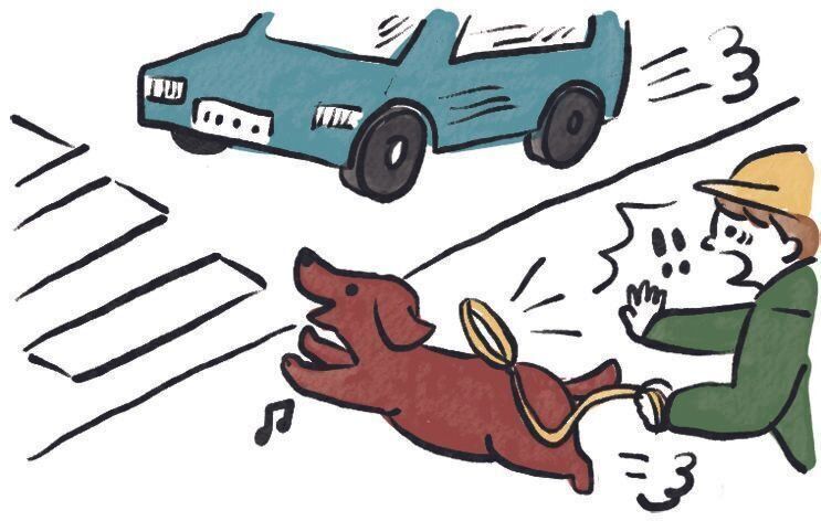 イラスト／SORRY.