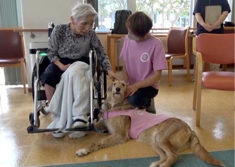 ふれあいの場面（アニマルセラピーの動画より）