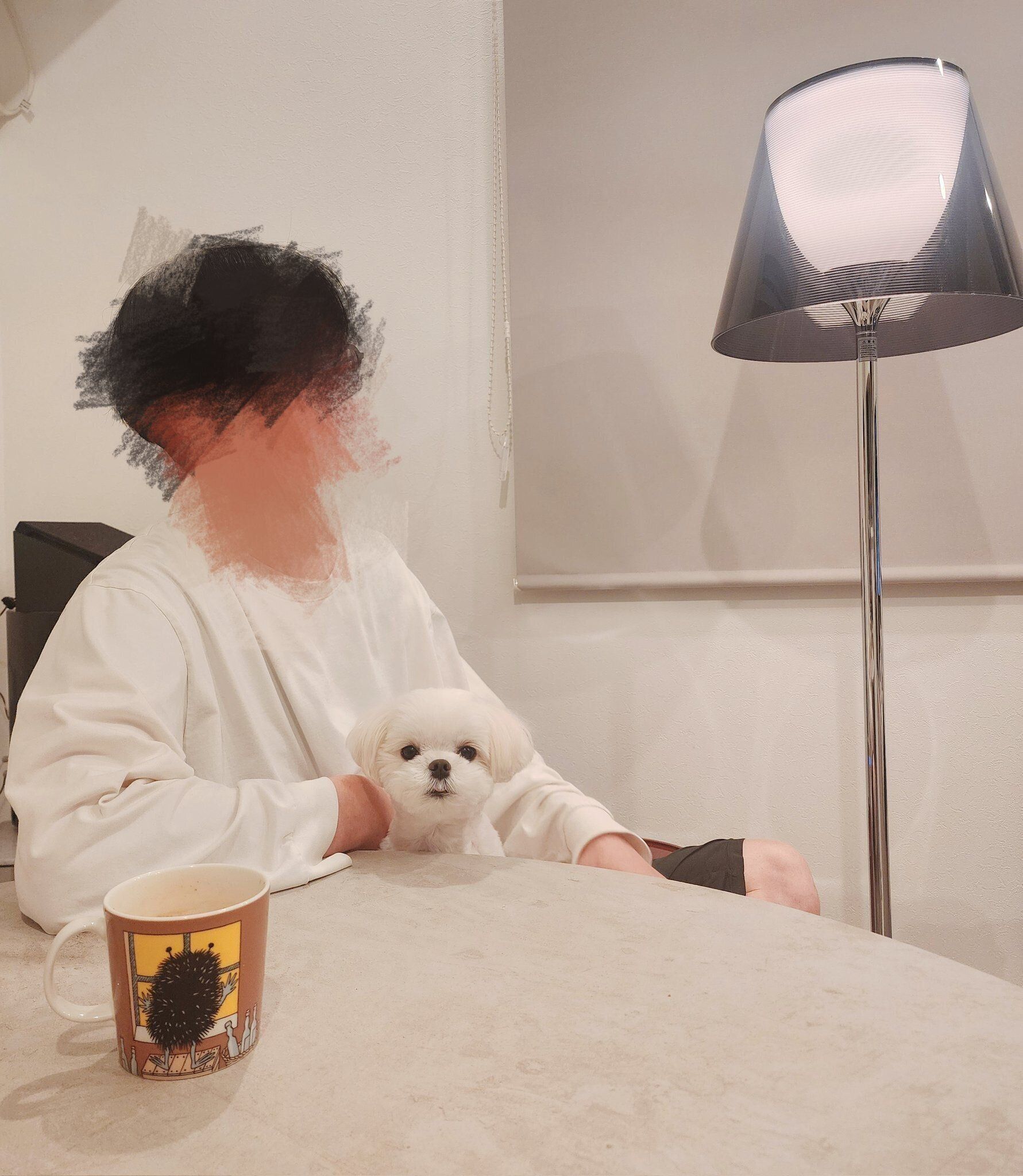 あくび前の様子　ちょこんと座っていてかわいい