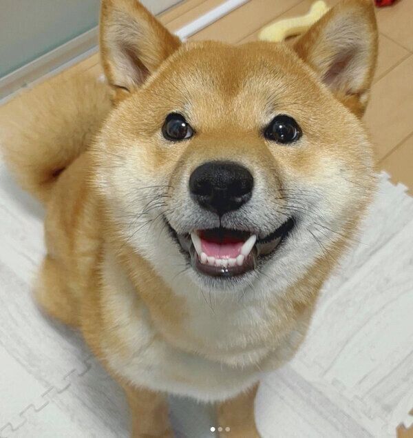 笑顔が可愛いはじめくん