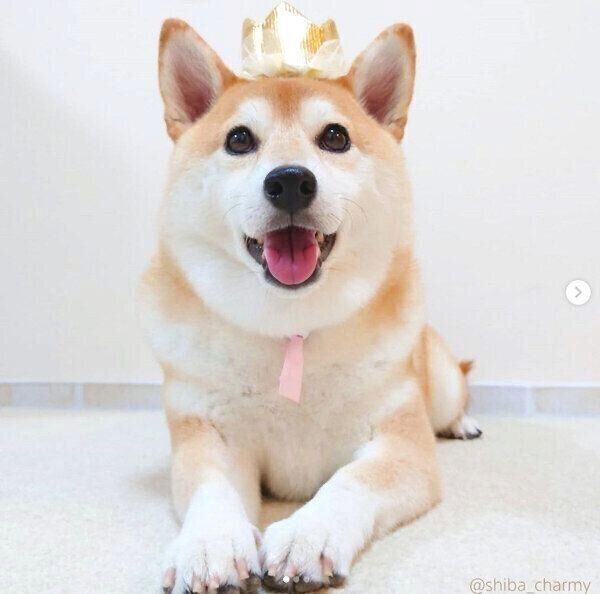 笑顔のチャーミーちゃん