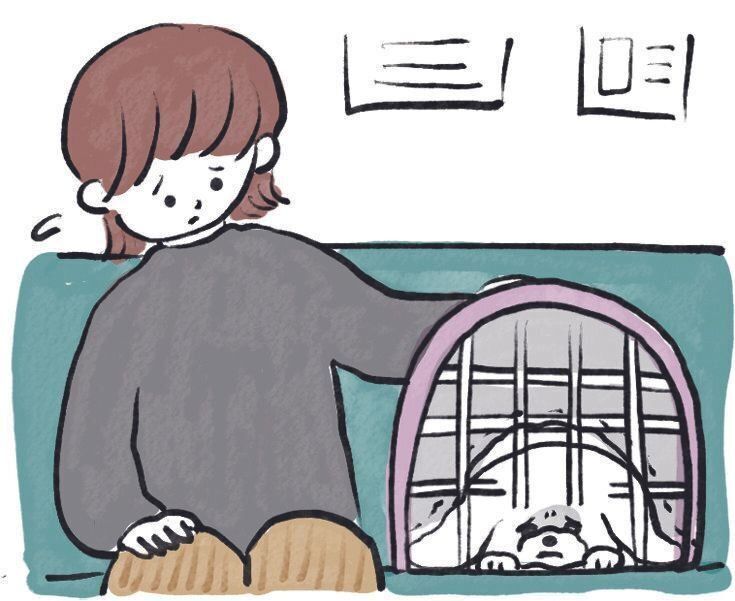 イラスト／SORRY.