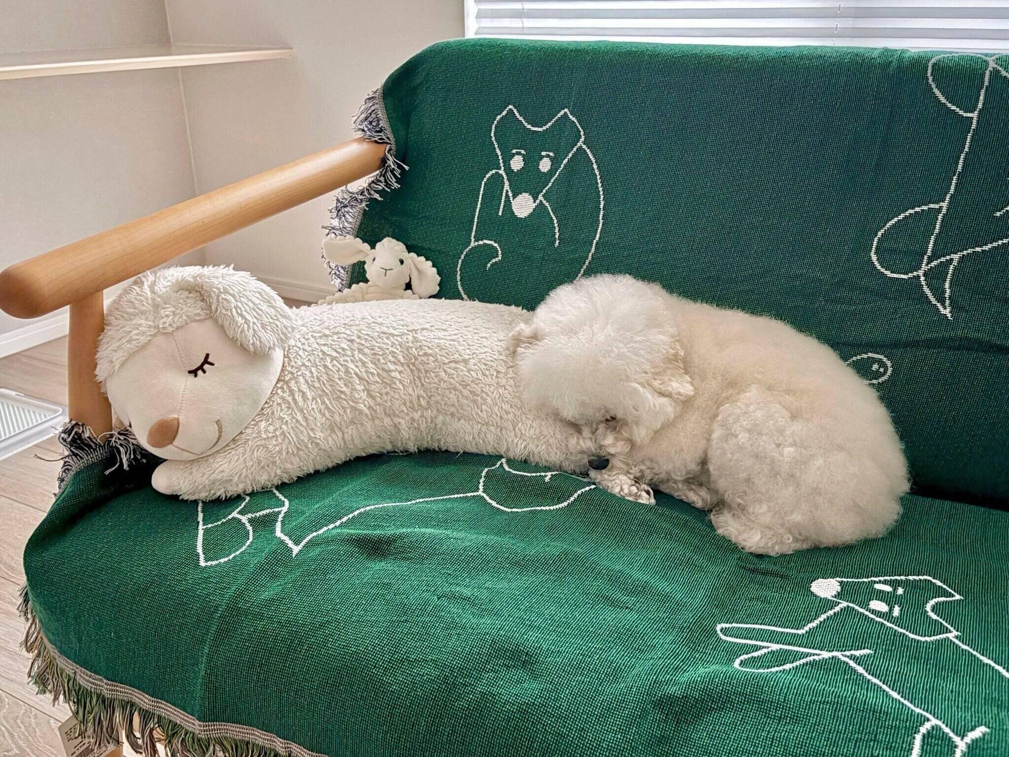 別の角度から見たわたげちゃんの様子