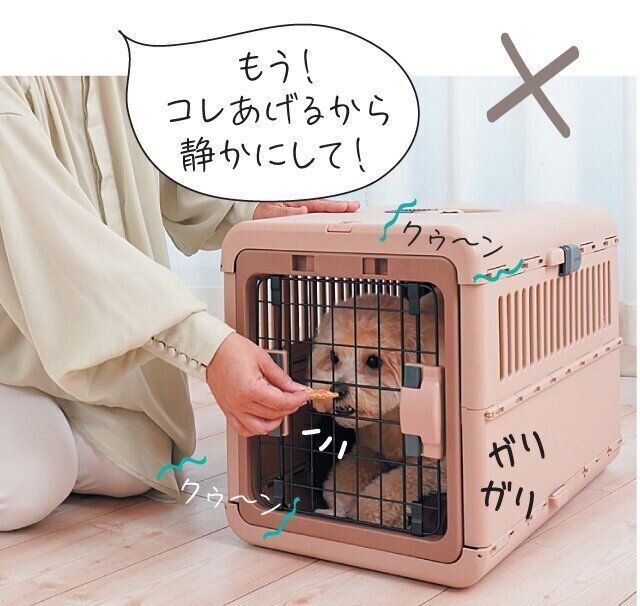 おやつを与えられる犬