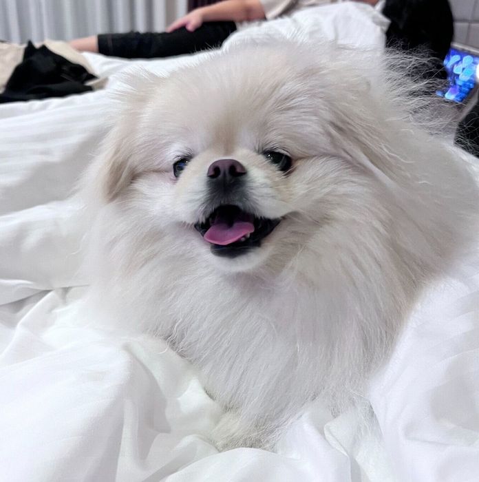 楽しそうななんこつちゃん