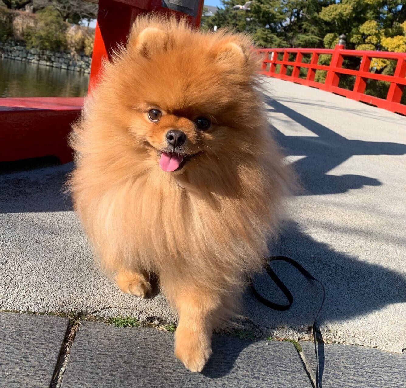 笑顔のうりくん