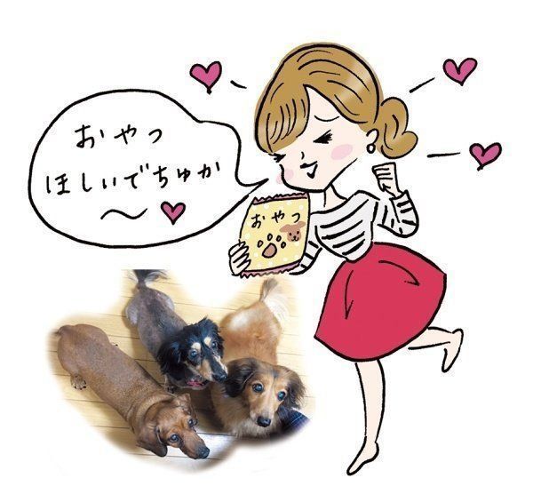 すべてはかわいい愛犬のため 親ばか自慢選手権 いぬのきもちweb Magazine