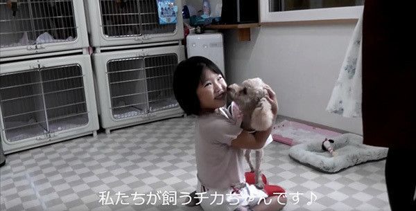 子どもに抱かれるトイ・プードル