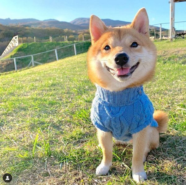 笑顔がかわいいうにくん