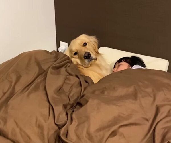 娘さんと一緒に寝るLUKEくん