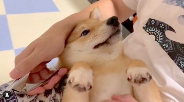 爪切りをするうにくん