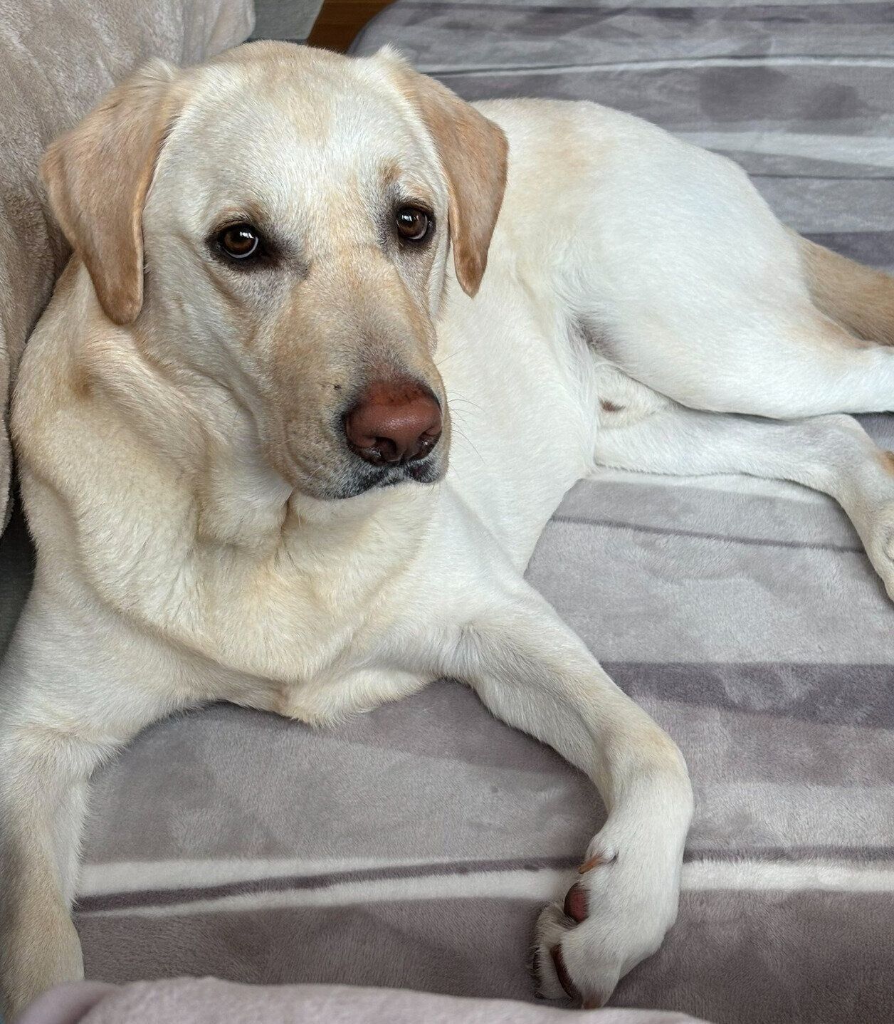 まったりするエルくん