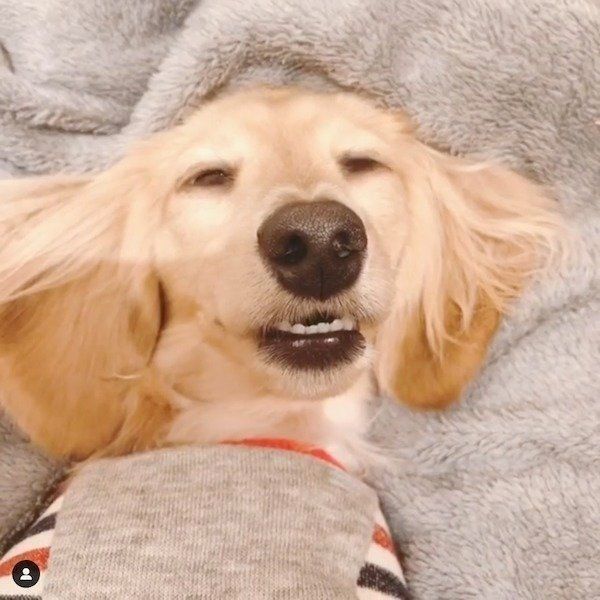 起きてるか寝てるかわからないアムちゃん