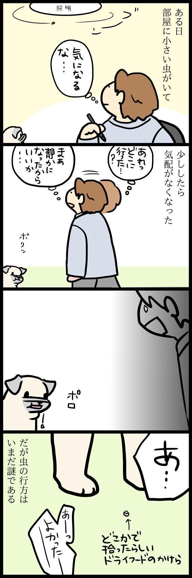 【連載】パグ犬・めー
