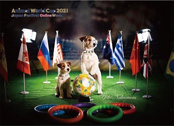 Animal World Cup 2021 Japan Festival Online Week
