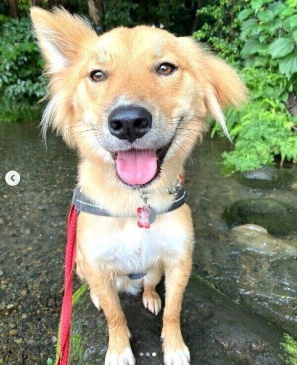 笑顔が可愛い嵐丸くん