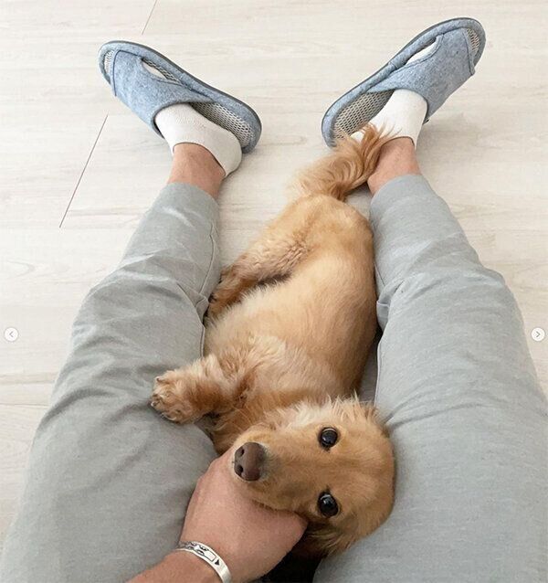 甘える大吉くん