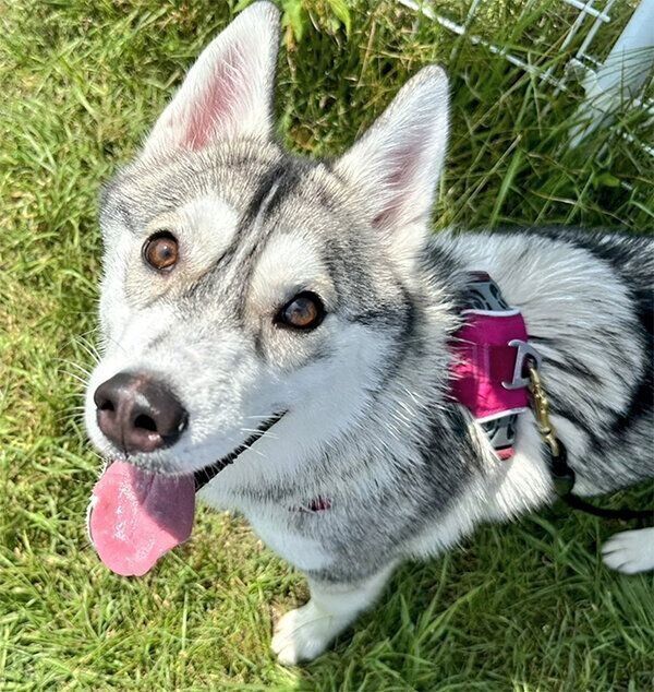 笑顔のテラちゃん