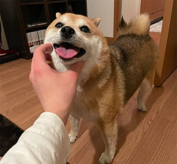 笑顔のクリ丸ちゃん