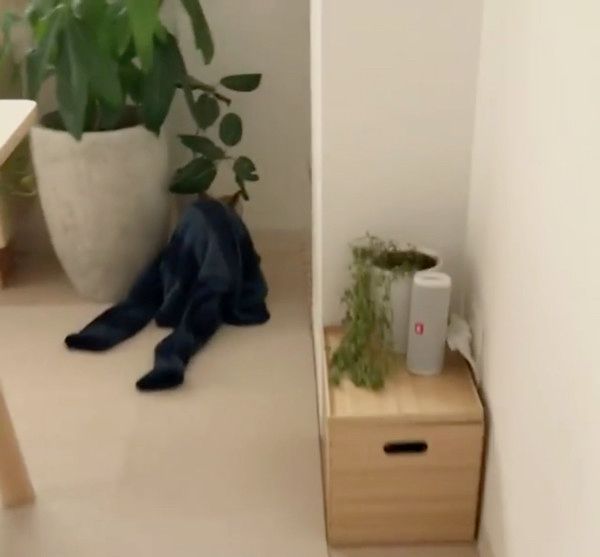 パジャマにもぐる犬