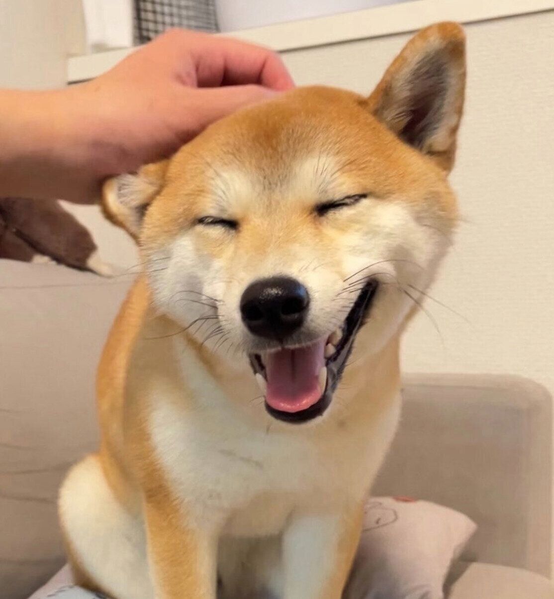 笑顔が可愛いつくねちゃん
