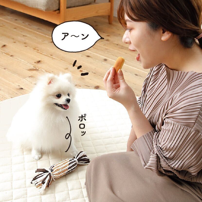 標的をおもちゃからおやつに！