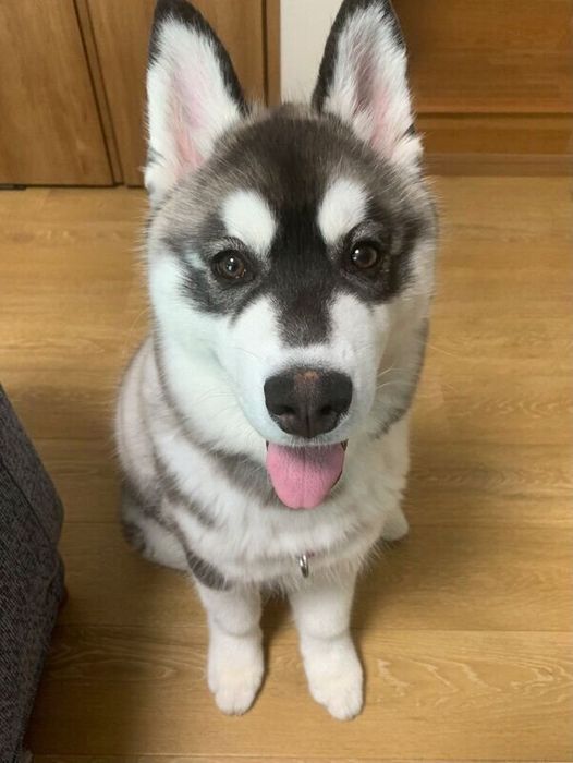 笑顔が可愛いウルリくん