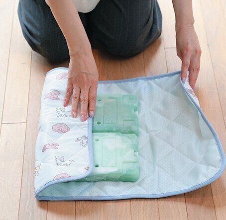 凍らせたアウトドア用保冷剤