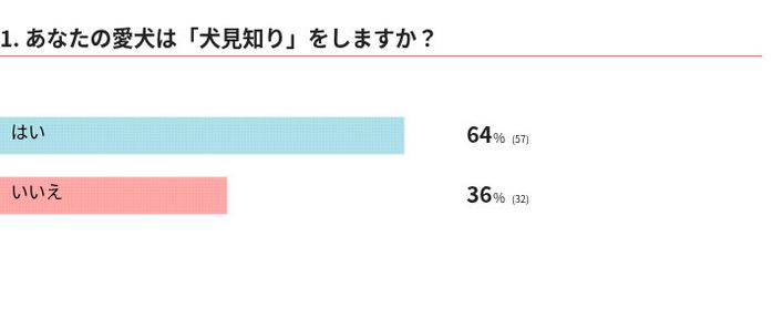 愛犬は犬見知りする?